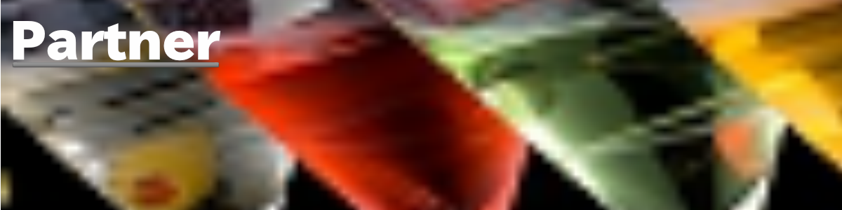 Partner / パートナー